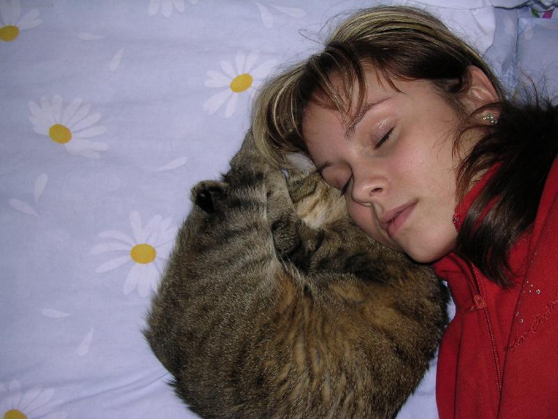 Foto: Dobrou noc