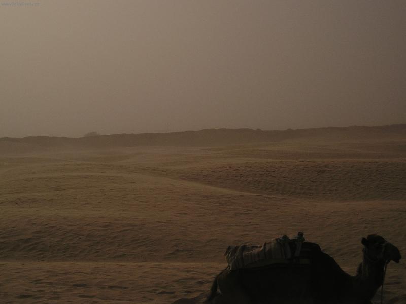 Foto: Sahara