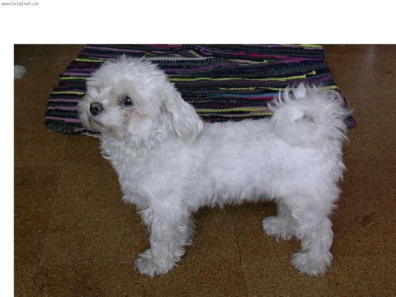 Foto: Moje miminko