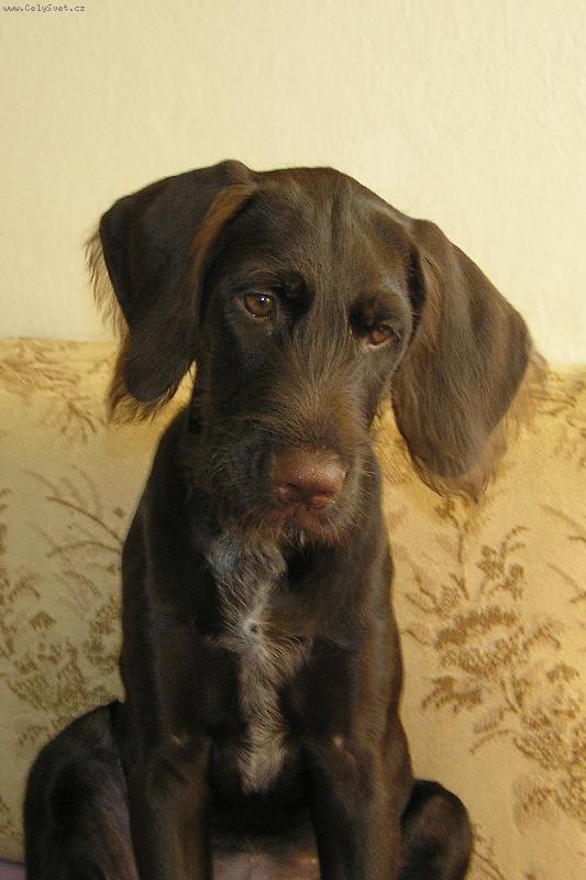 Foto: Orina