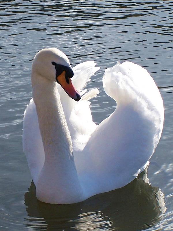 Foto: Jak se ti l�b�m?