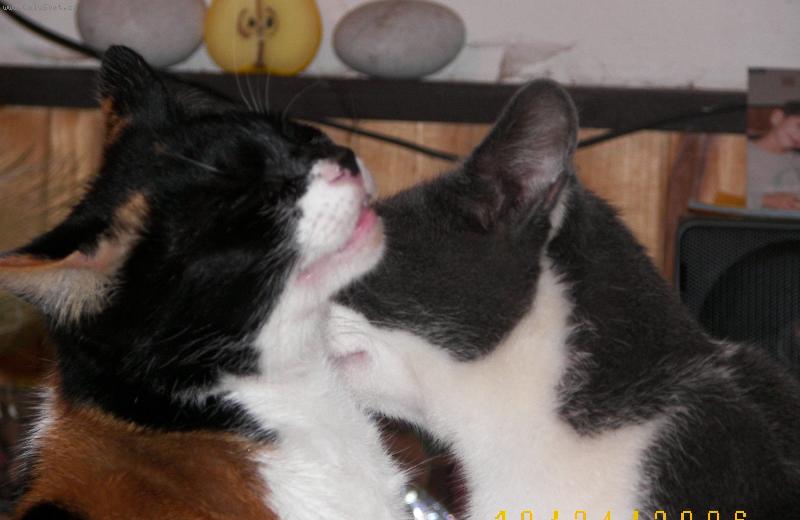 Foto: L�ska je l�ska-:-)