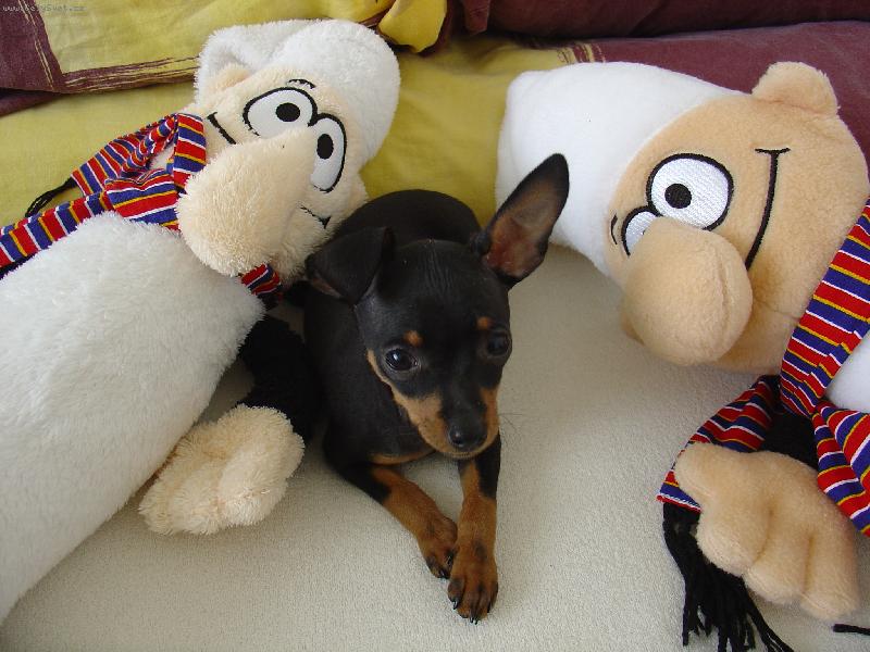 Foto: Uzl�k