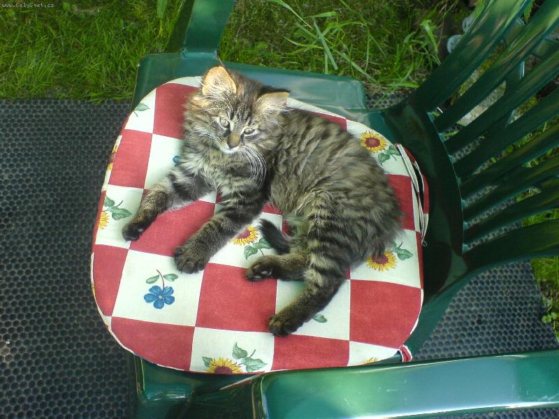 Foto: To je moje �idle