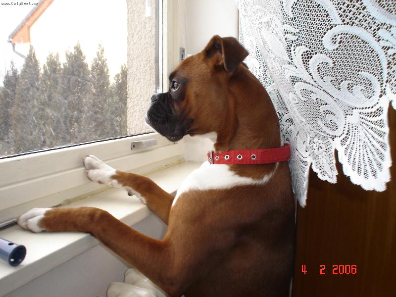 Foto: To je ale v�hled