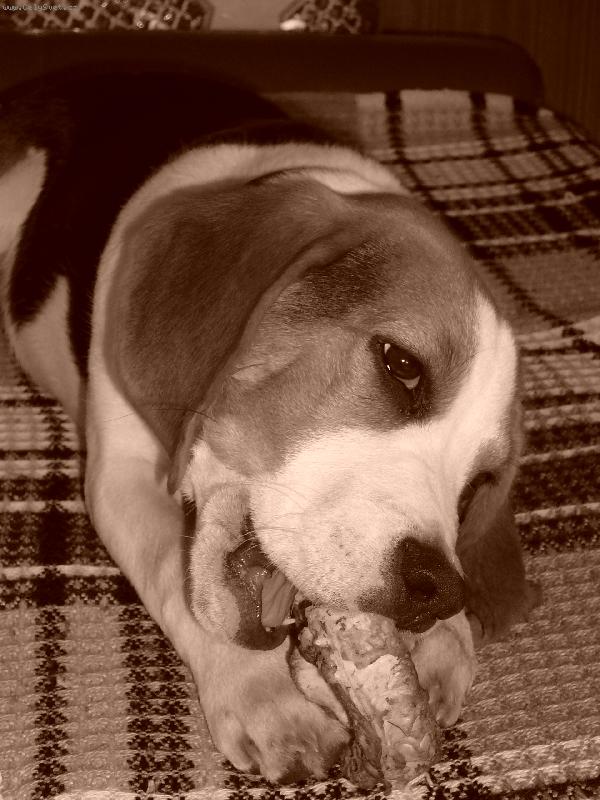 Foto: Monty-obl�ben� �innost