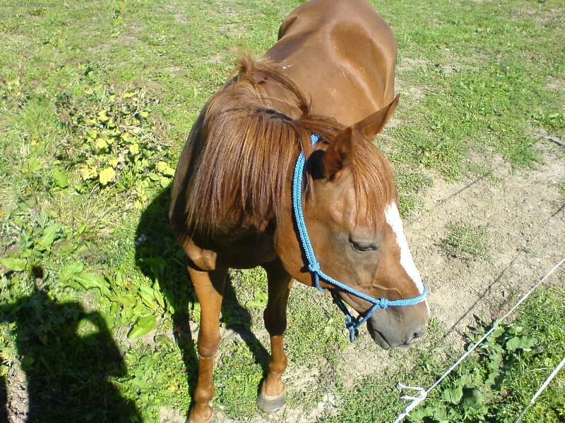 Foto: Black-nefo�e m� j� se styd�m