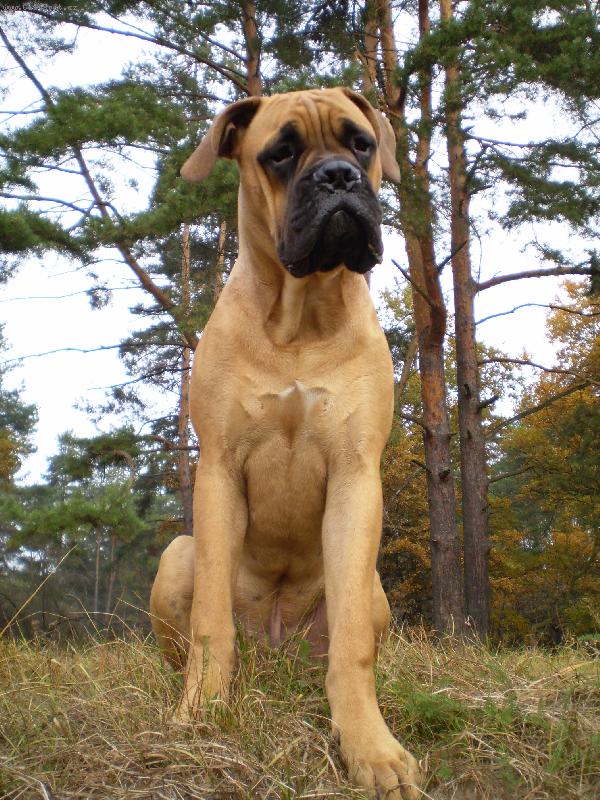 Foto: Bu�-n� mil��ek