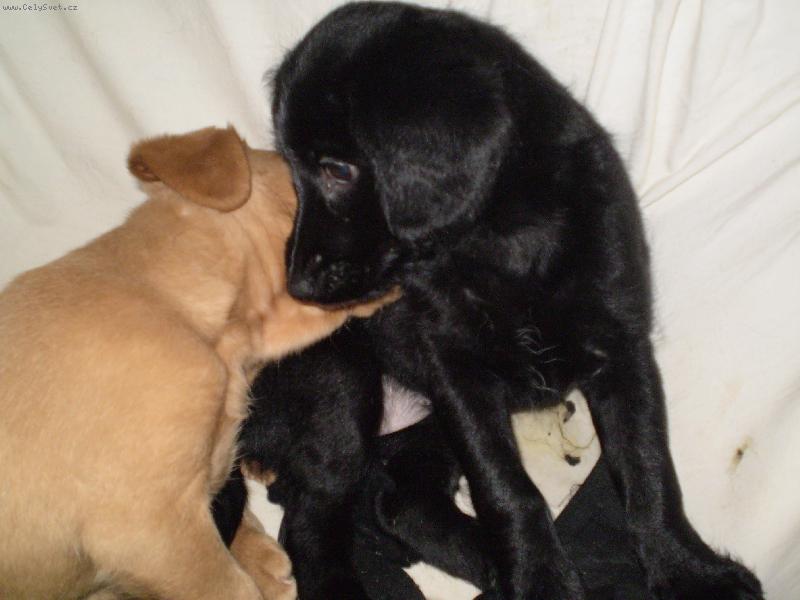 Foto: A m�m t�!