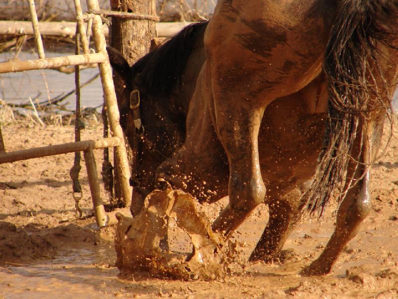 Foto: �em�k-bahn� koupel