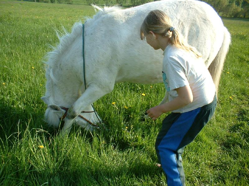 Foto: Ferda-..10.20.30...u� jdu..