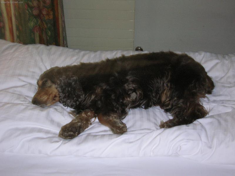 Foto: Sandy-Po dlohe celodenni ture