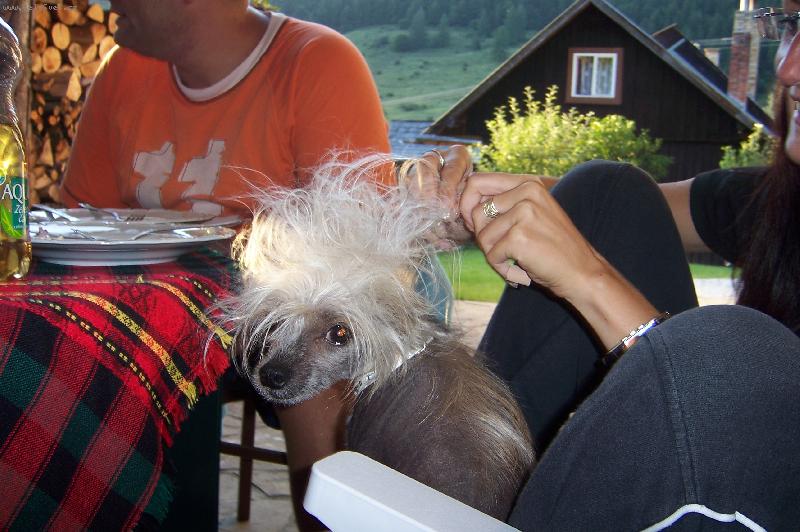 Foto: Edicek