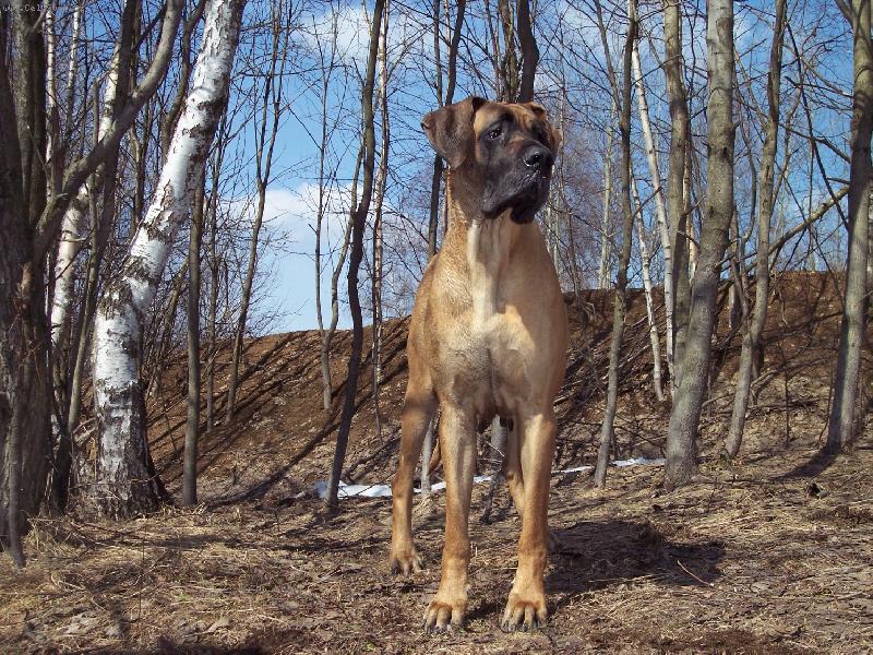 Foto: N�MECK� DOGA