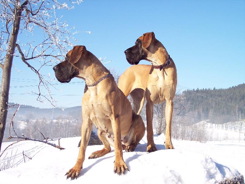 Foto: N�MECK� DOGA