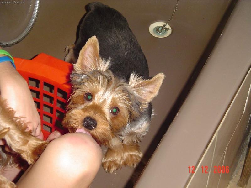 Foto: Monty-Monty