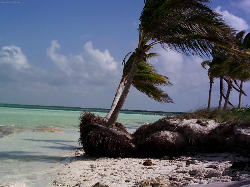 Foto: Pozdrav z Kuby