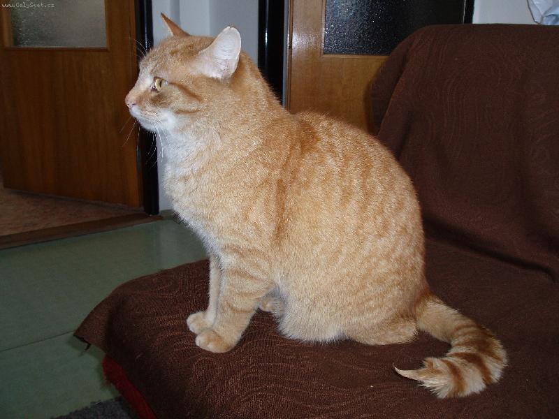 Foto: Jsem si ocucal oc�sek...