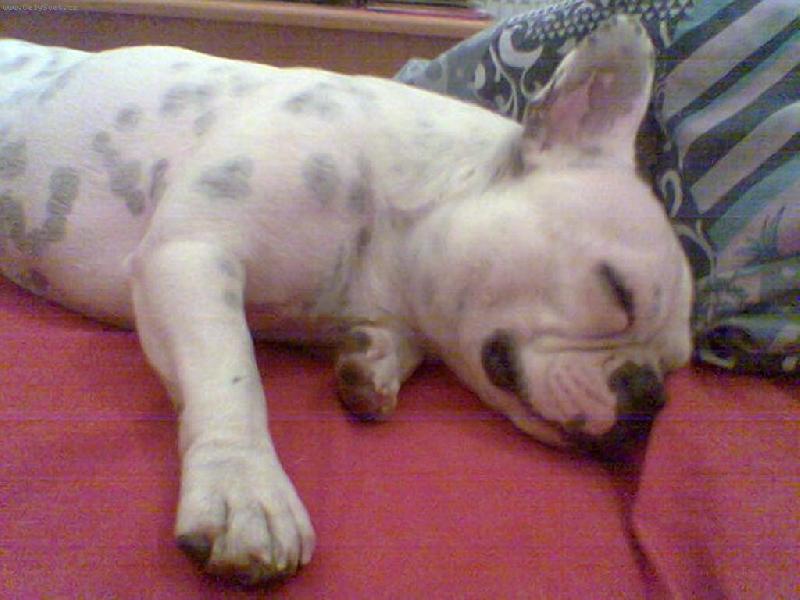 Foto: ORINKA