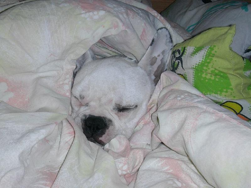 Foto: ORINKA