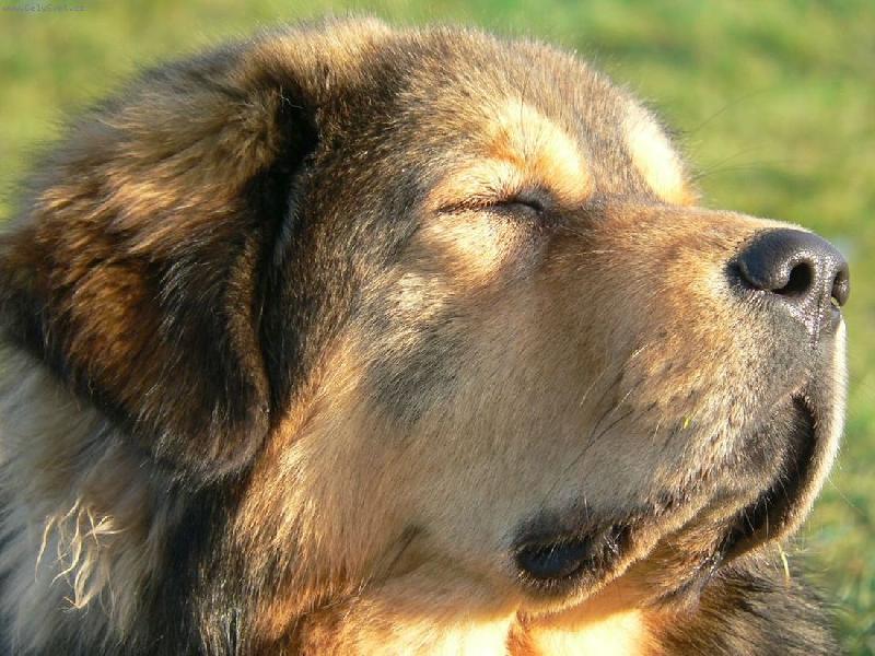 Foto: chyt�m bronz :o)