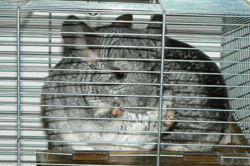 Foto: Pust te m� ven!!