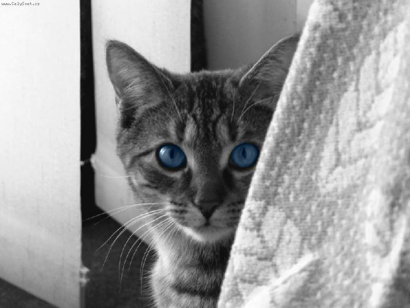 Foto: Terezka