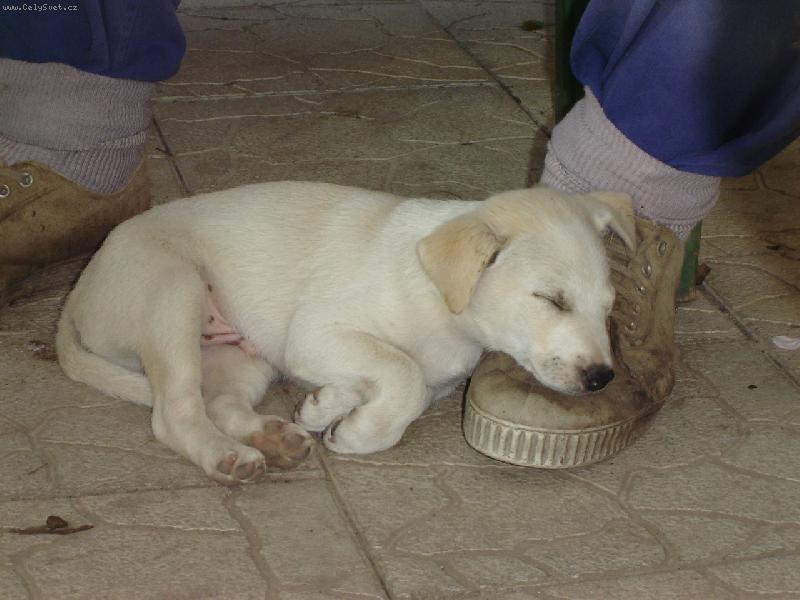 Foto: Pun�a-Spink�me...