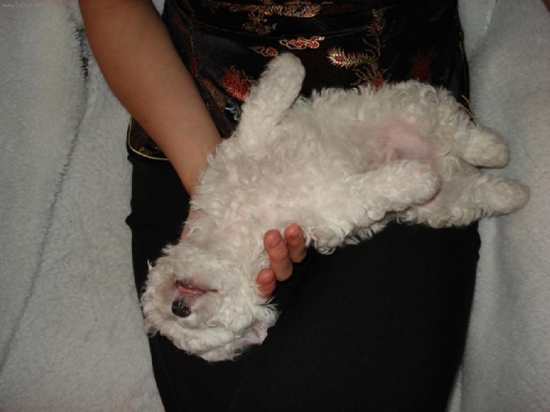 Foto: J� je�te �iju!!!