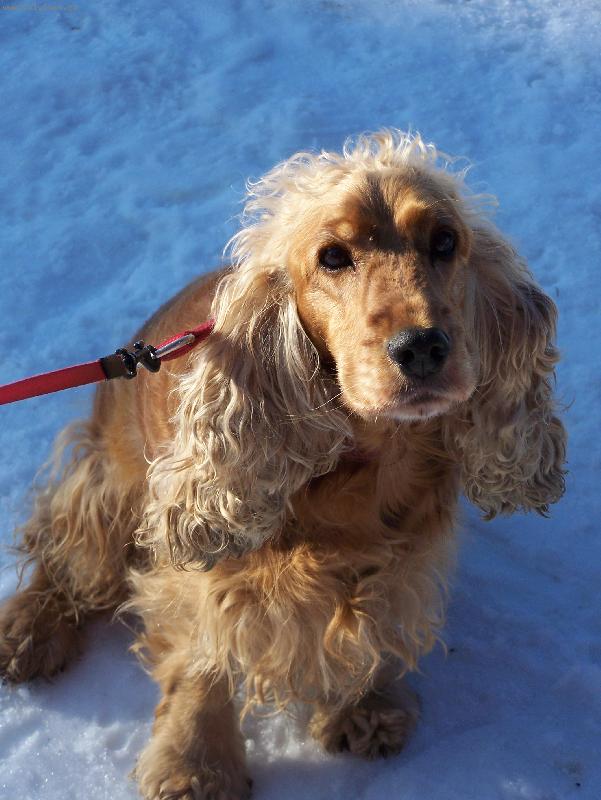 Foto: Na�e Terinka