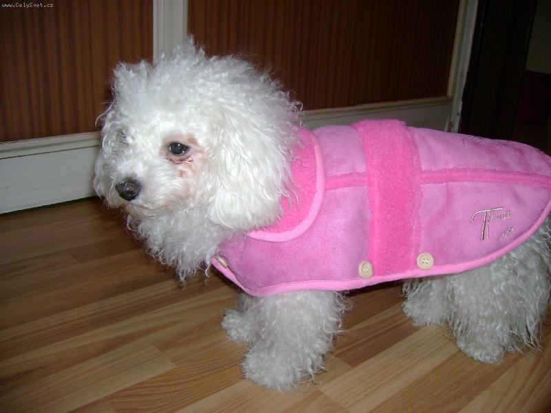 Foto: m�m nov� kab�tek