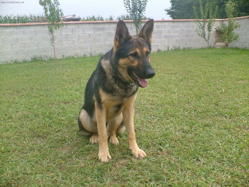 Foto: Jimmy-Jimmy