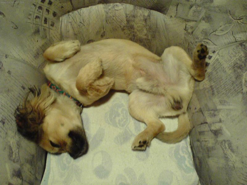 Foto: siesta-zewlirna