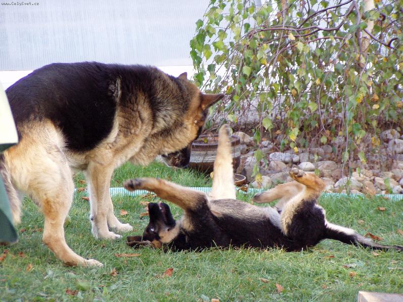 Foto: Ken� a Jasko-Vzd�v� se?