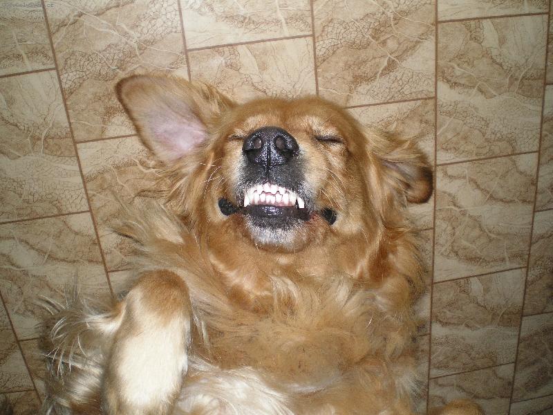 Foto: NOE-nelechtej m� !!!