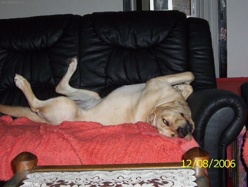 Foto: Span�-Le�en� po dobr�m j�dlu