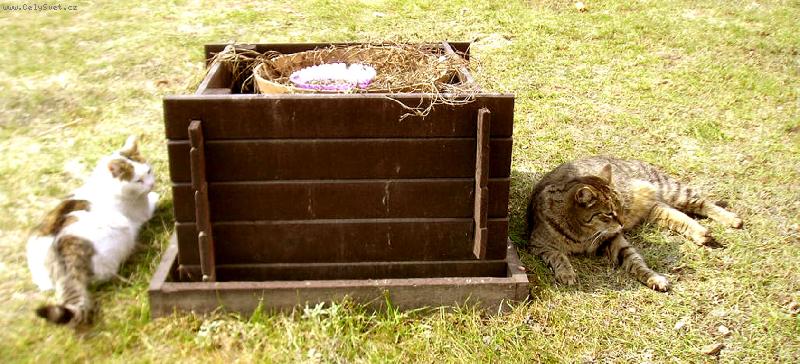 Foto: Po h�dce......