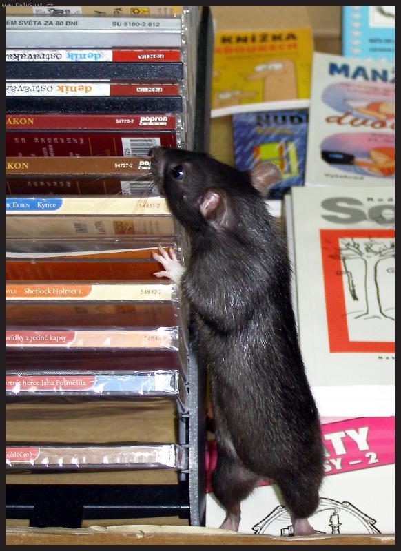 Foto: M�te "O my��ch a lidech"?