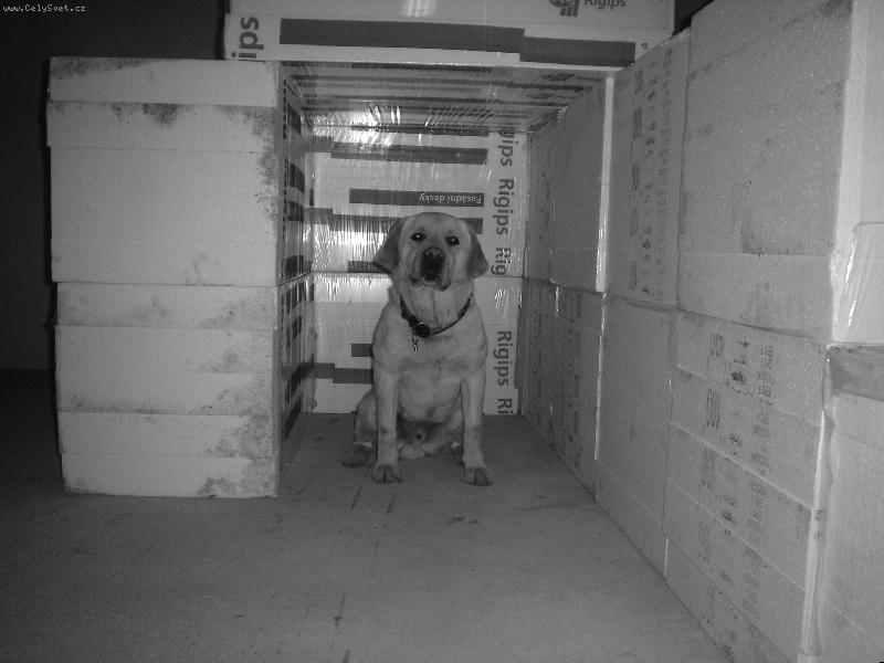 Foto: L�b� se V�m moje schovka?