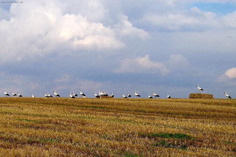 Foto: ��pi-Slet ��p�, to je kr�sa