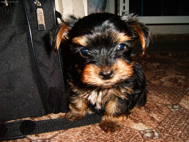 Foto: Max�k-No co kouk�...