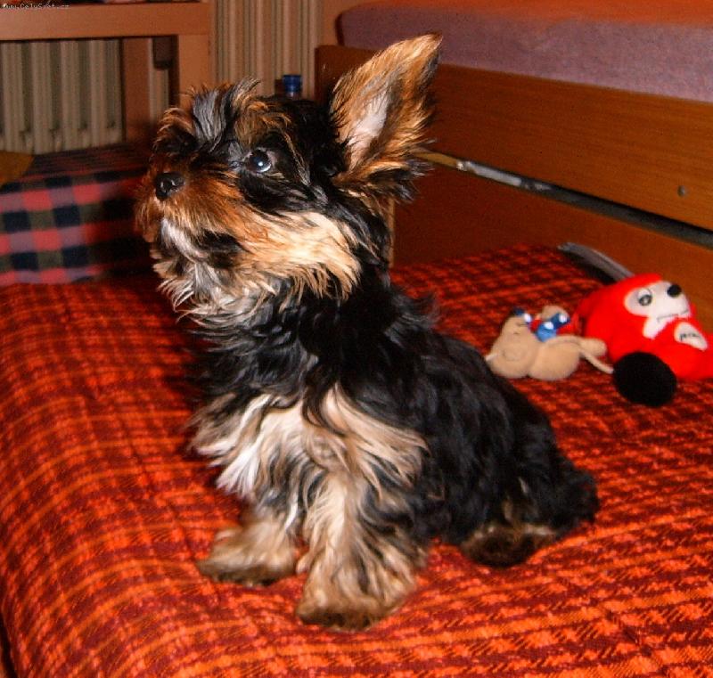 Foto: Max�k-Copak to tam m�te...?