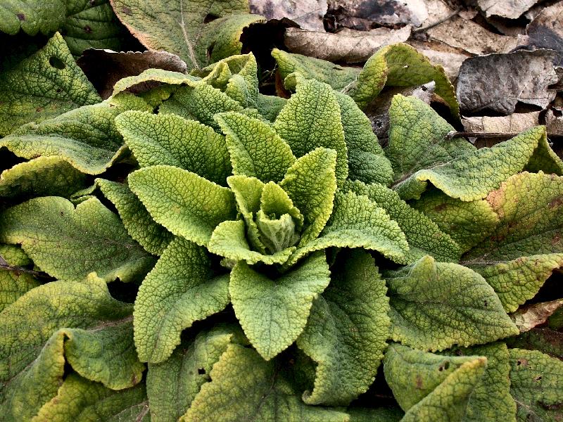 Foto: �ek�n� na jaro