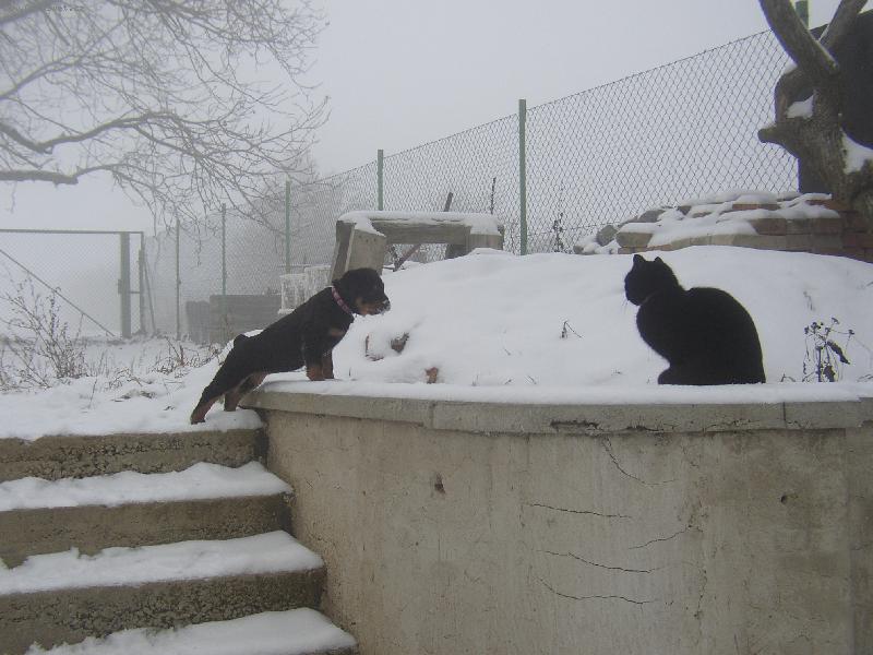 Foto: pozor na m�....