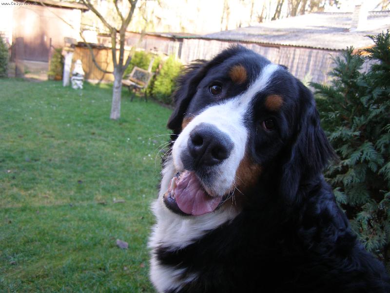 Foto: Elisa ze Stam��ic-ahoj