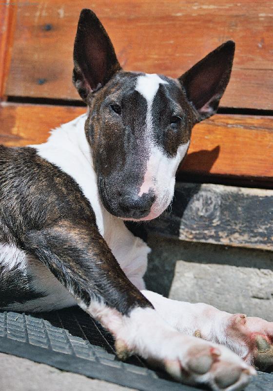 Foto: Balu-Tak u� vyfoceno??