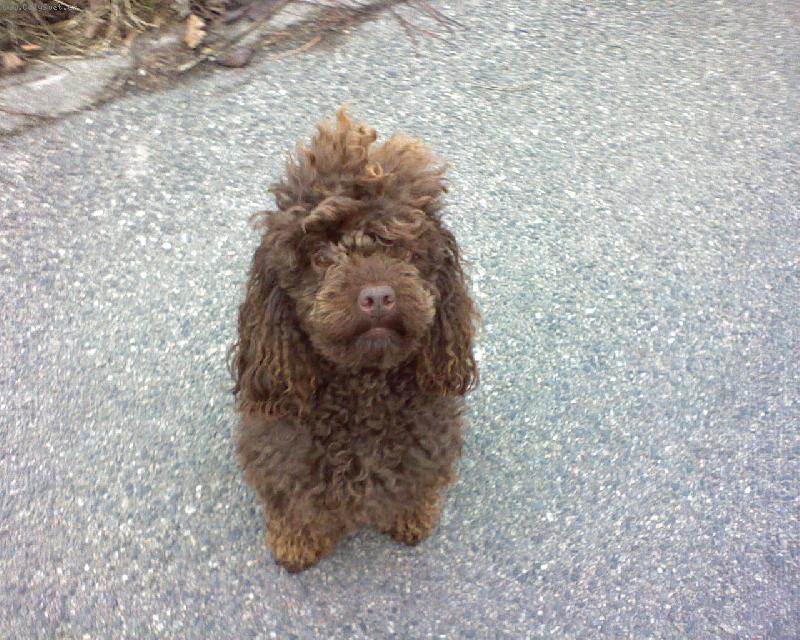 Foto: Ag�tka-Na proch�zce