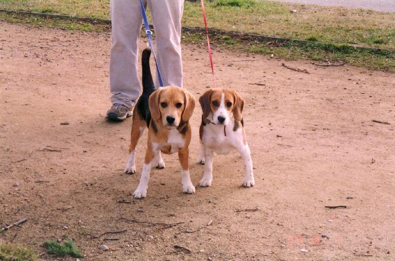 Foto: Novoman�elsk�