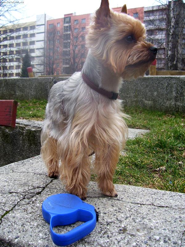 Foto: �ek�m............po��d �ek�m...........