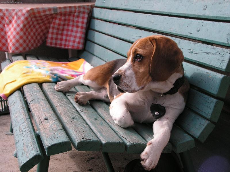 Foto: obl�ben� m�sto